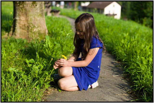 L1122648
