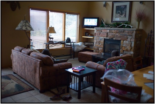 The living room in our condo. Full kitchen, in-unit laundry facilities, two bedrooms and two really nice bathrooms. Top-notch facility.