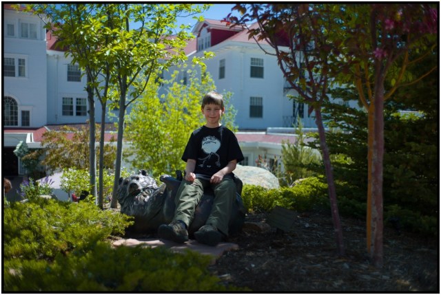 Holden on The Bear Chair -- useful sculpture in the back garden.