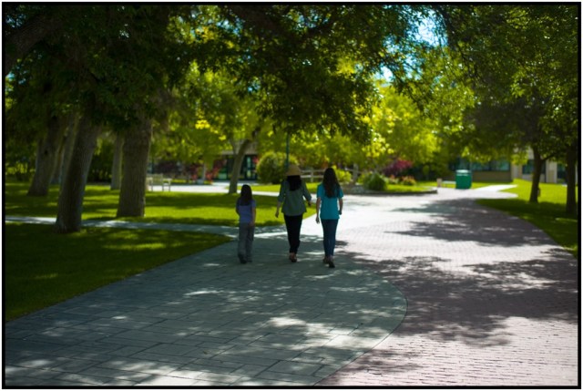 Lovely new renovated campus.