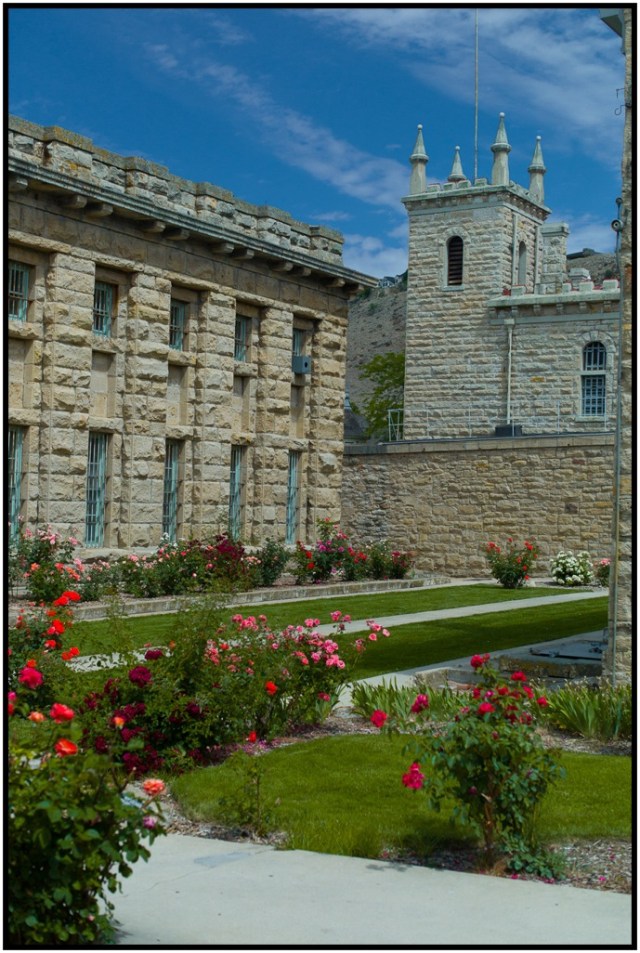 One bright spot in an otherwise wretched place; from 1910 on, they cultivated roses in the outdoor areas.  