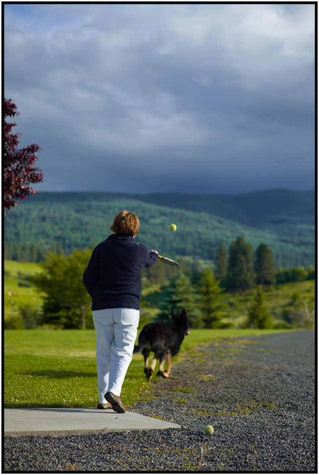 Sharon (my mom) playing fetch with Max.