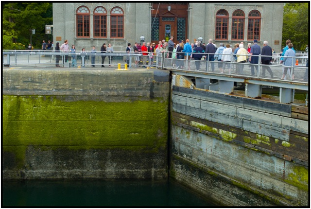 At the Ballard Locks.