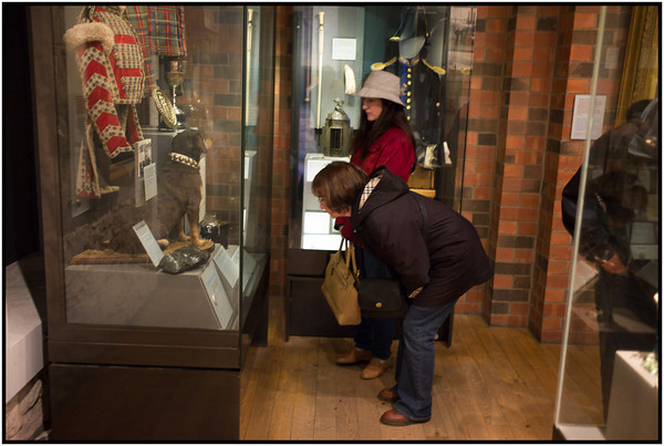 In the display case, you can barely make out Bob.  This is the best photo we have, which is a bummer. 