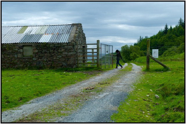 L1004879