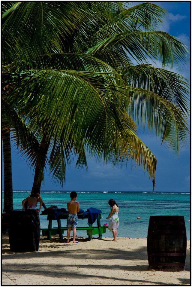 L1006432