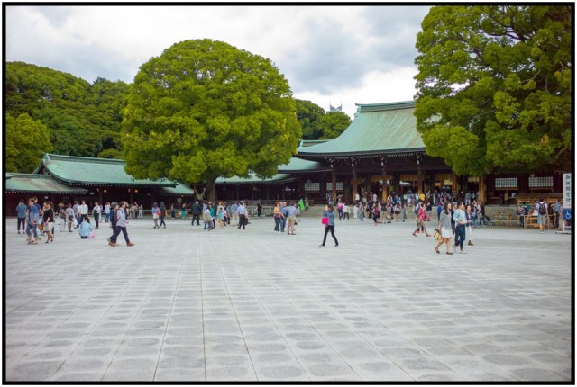 L1008485