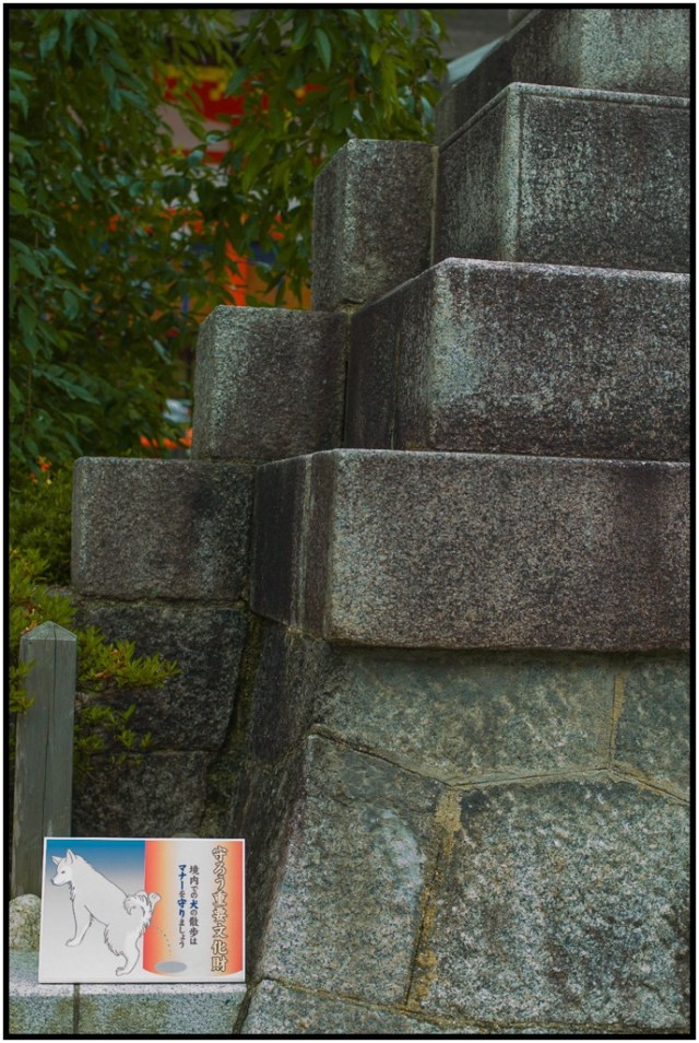 L1009137