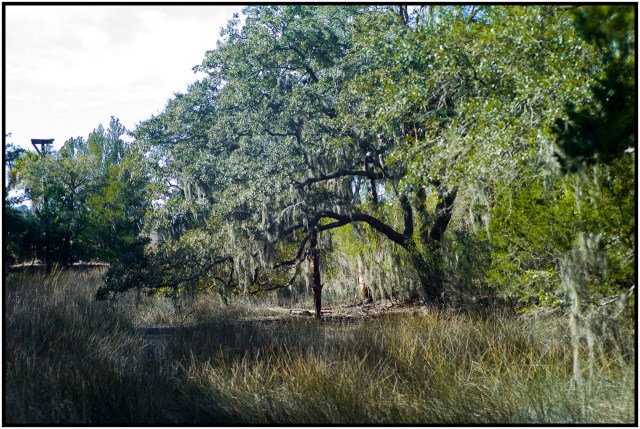 L1011182-X2
